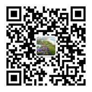 8·31 天幕共商会现场